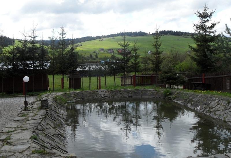 Hôtel Osrodek Wczasowy Kasztel à Niedzica Extérieur photo